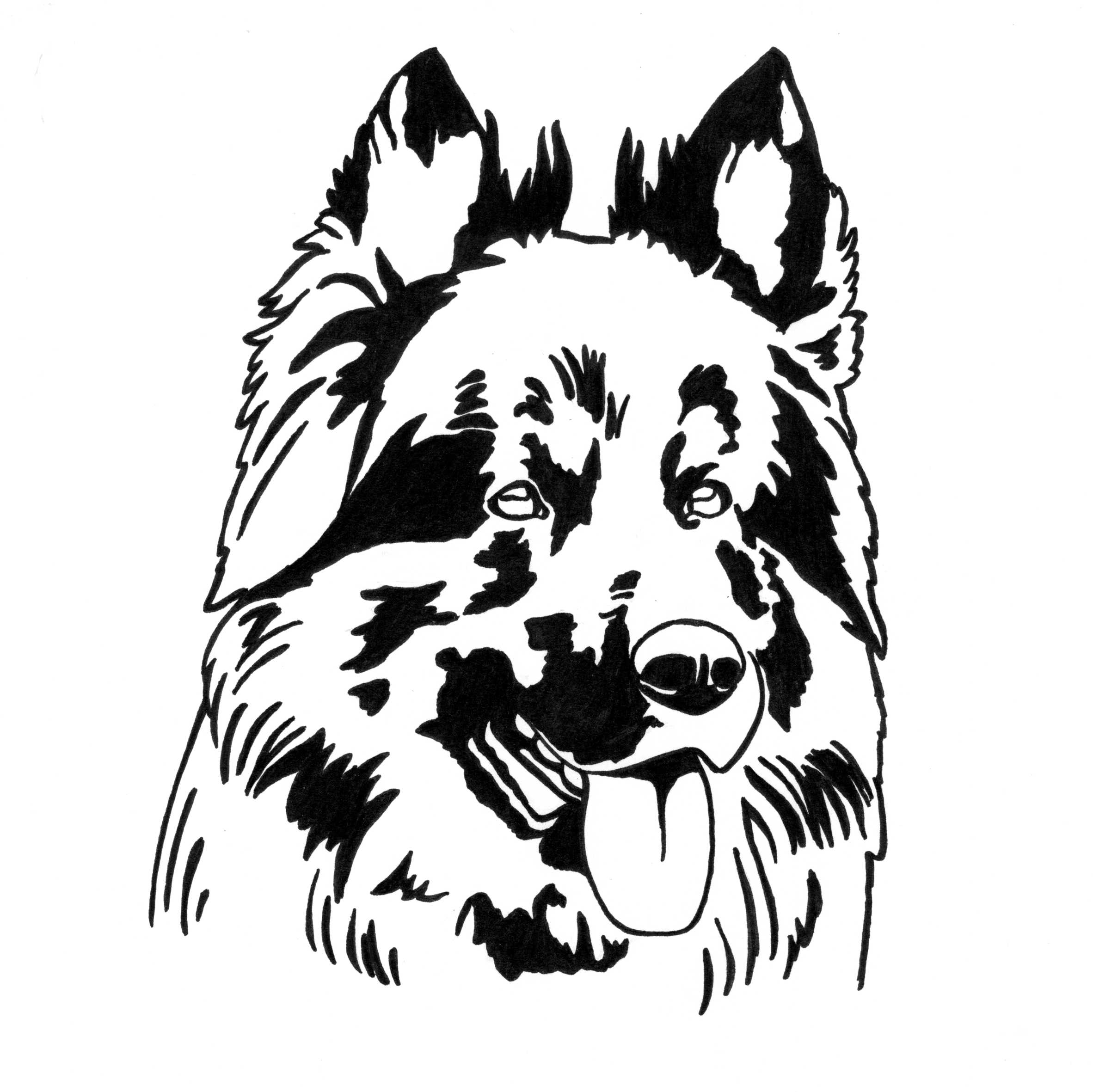 Logo-chodský pes