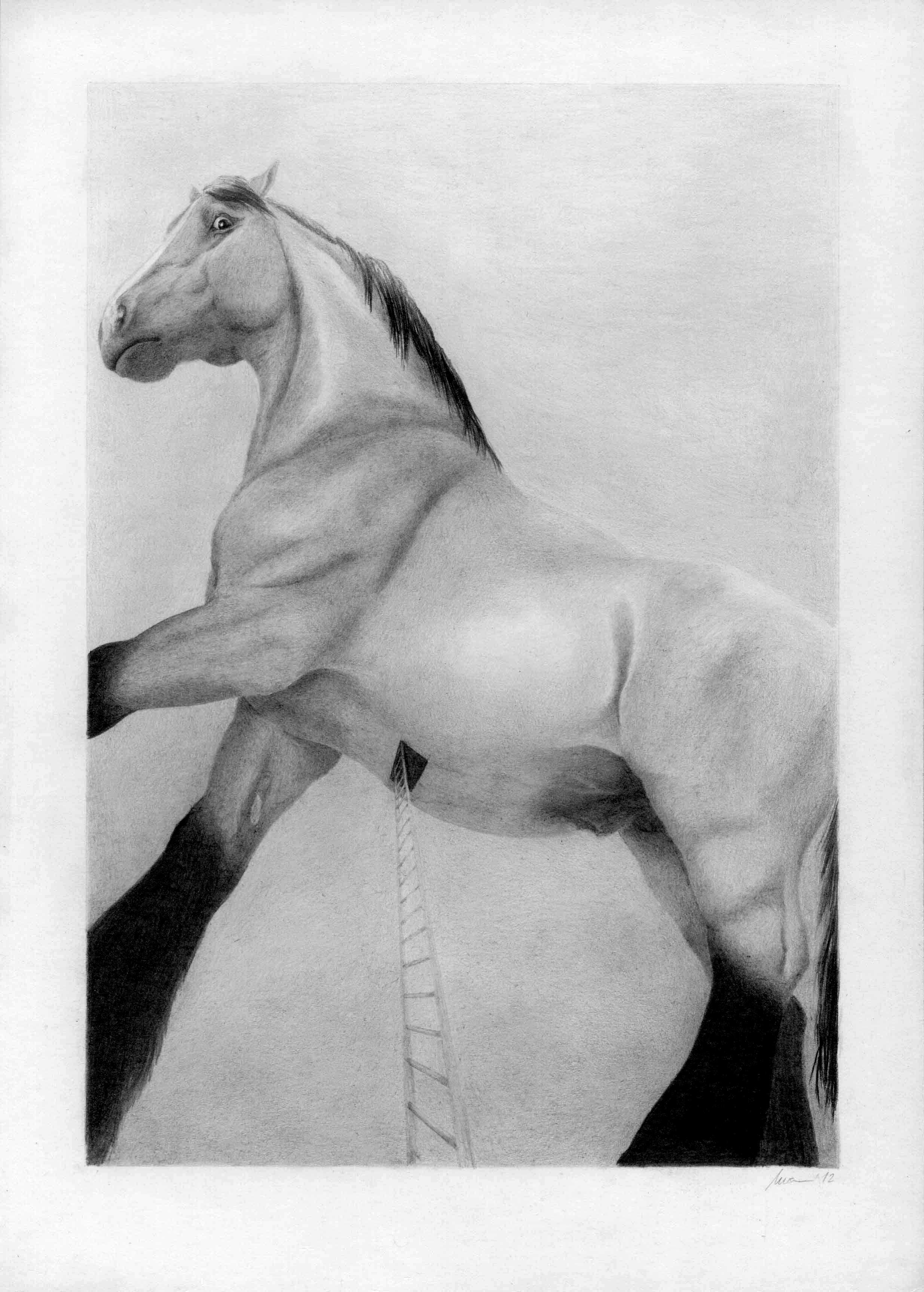 Trojský kůň, A4, 2012