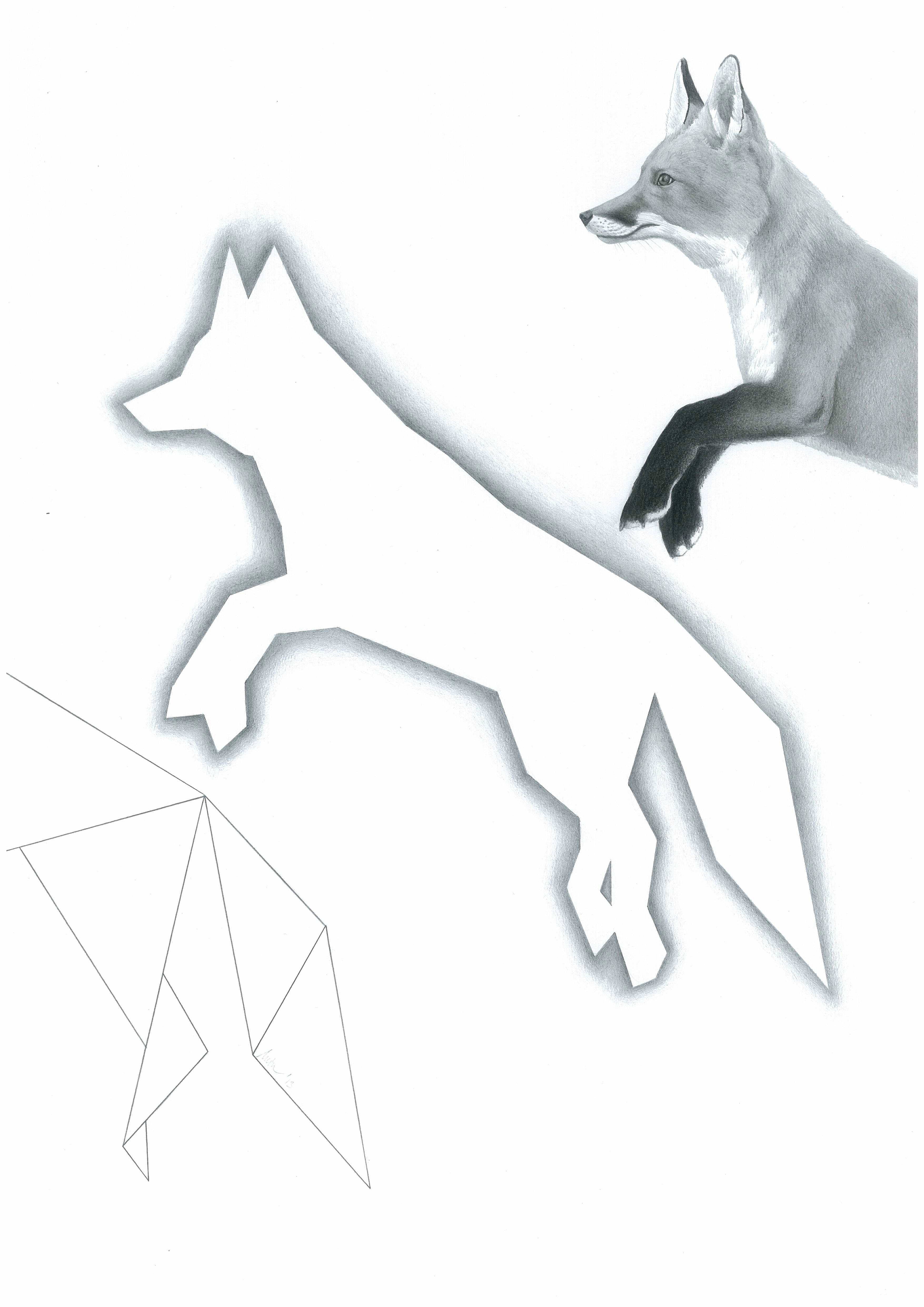 Geometrizace (lišky), A3, 2013